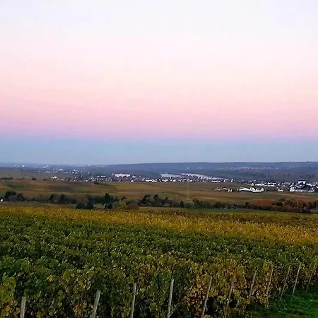 Vacation Aurora Geisenheim